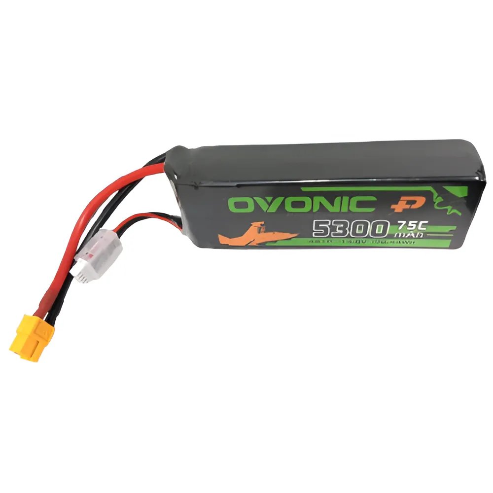 Main Product